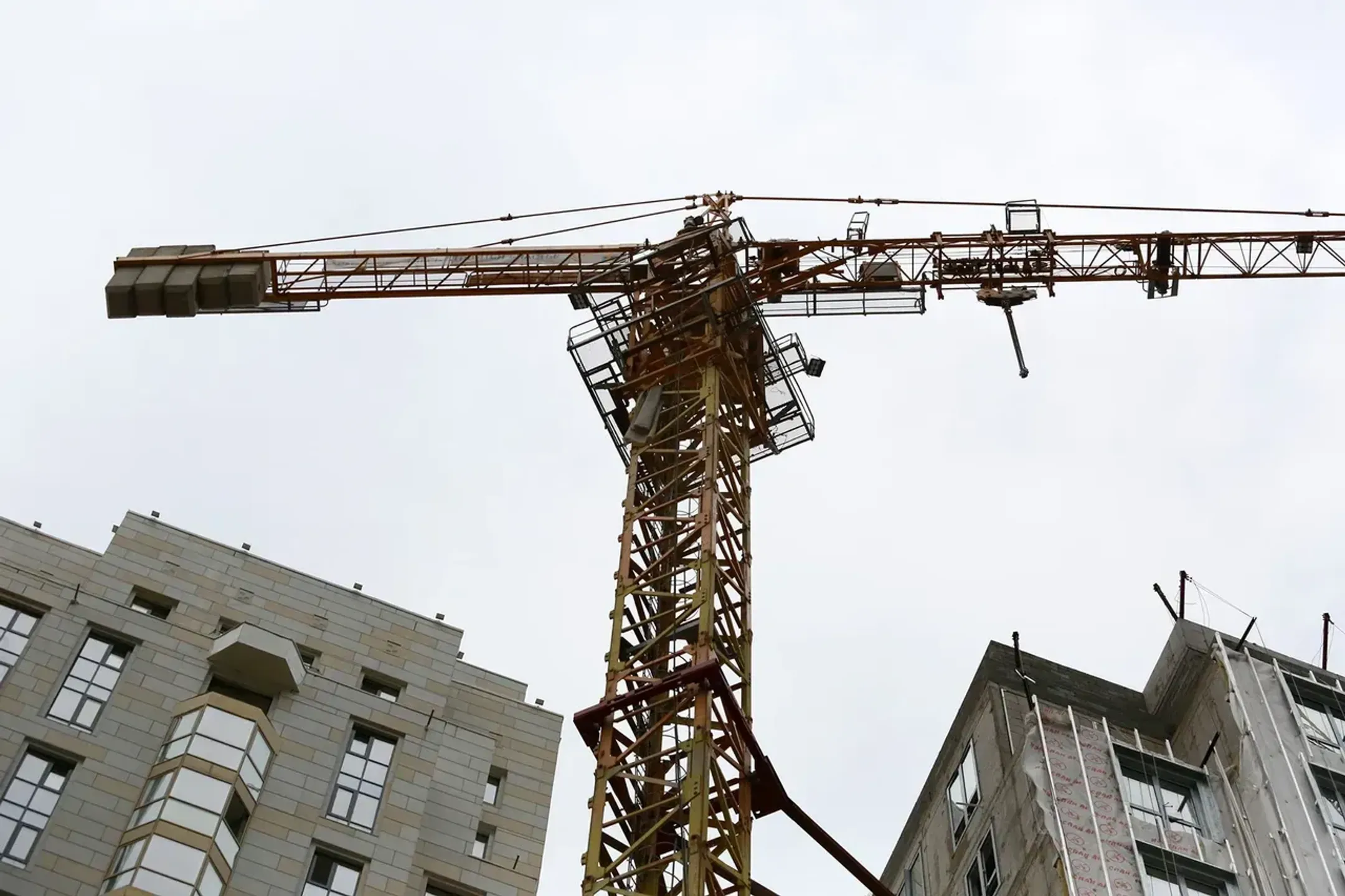 Фото: Руслан Пряников 