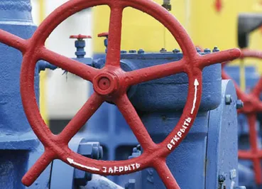 Казахстанская «синица в руках»