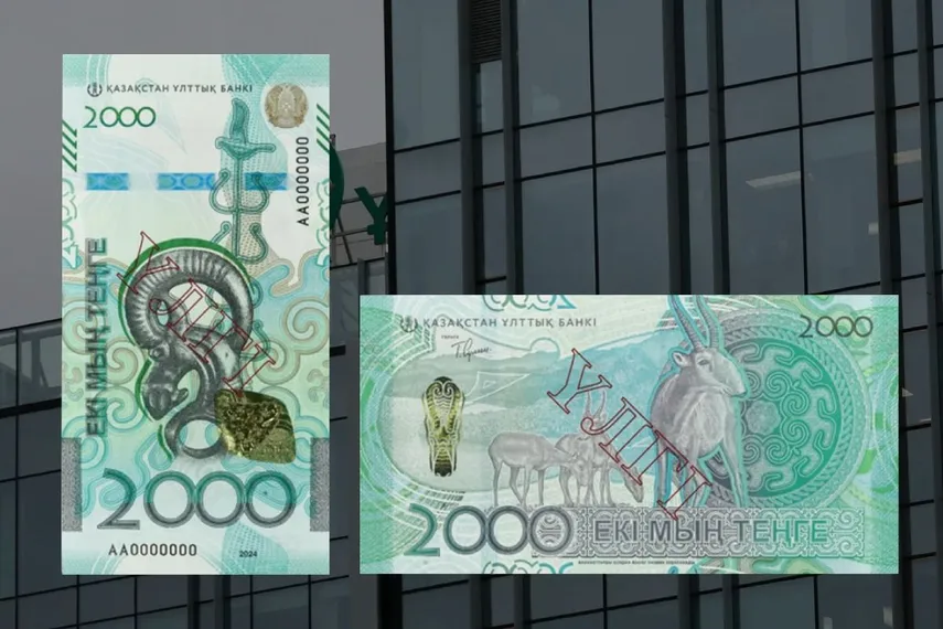 Коллаж: Дина Амирханова 