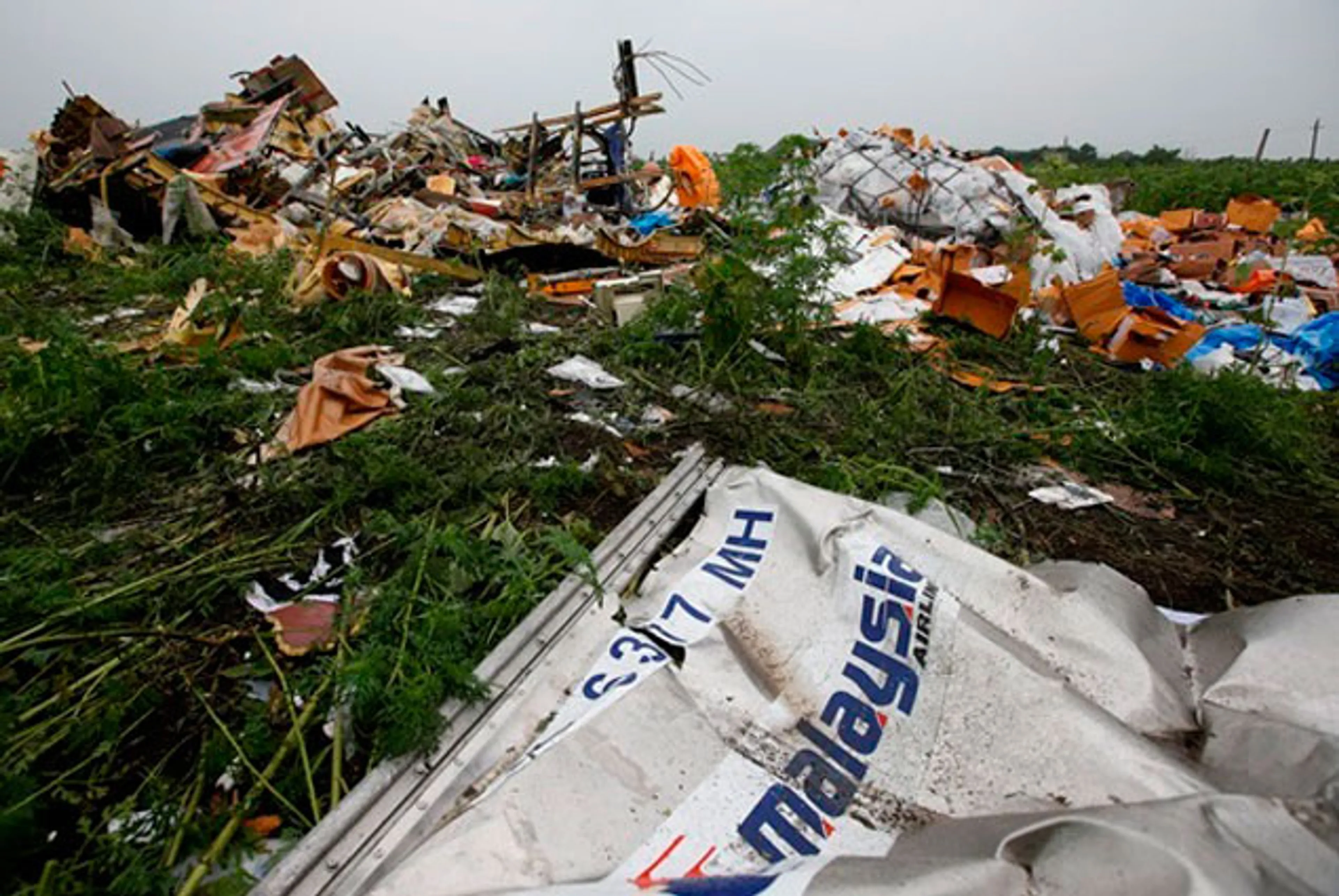 Капитал - Премьер Голландии поддержал Путина