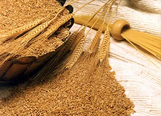 Капитал - Мы за ценой не постоим?