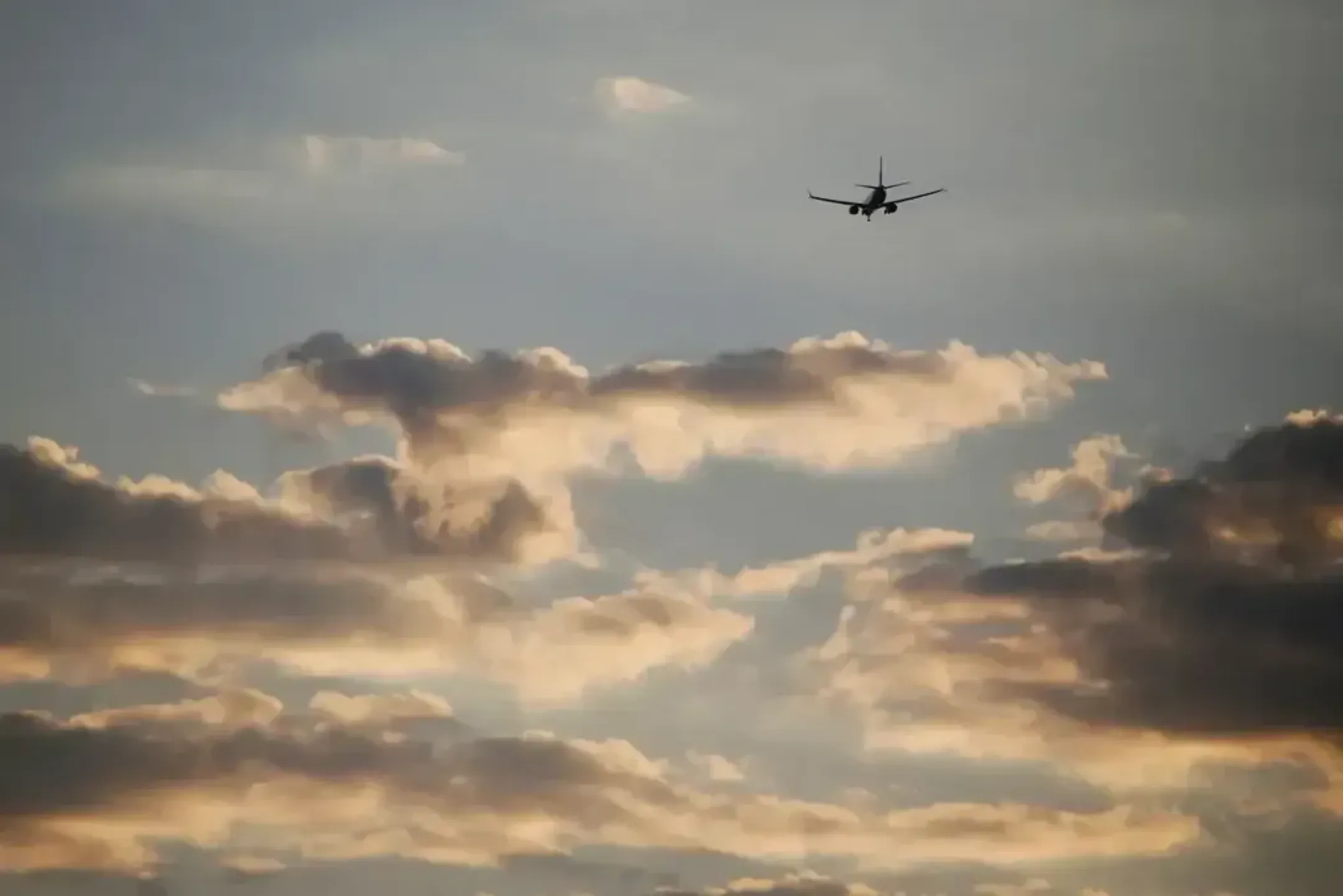 Фото: Руслан Пряников