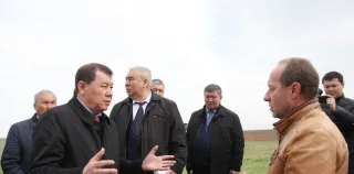 Капитал - На юге РК откроют завод по переработке лекарственной солодки