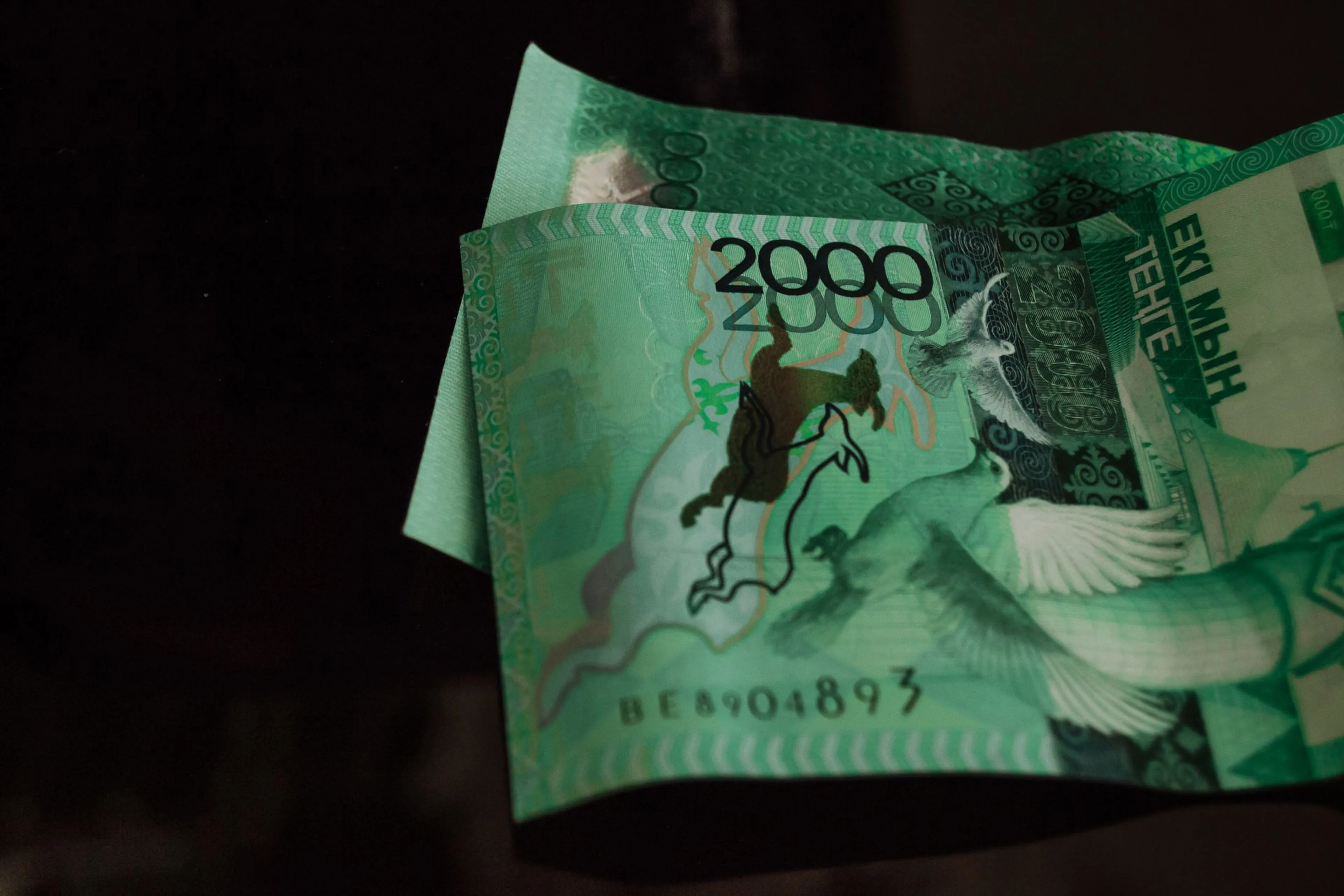 Фото: Валерия Змейкова