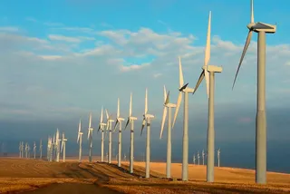 Капитал - Китай выйдет в лидеры по зеленой энергетике