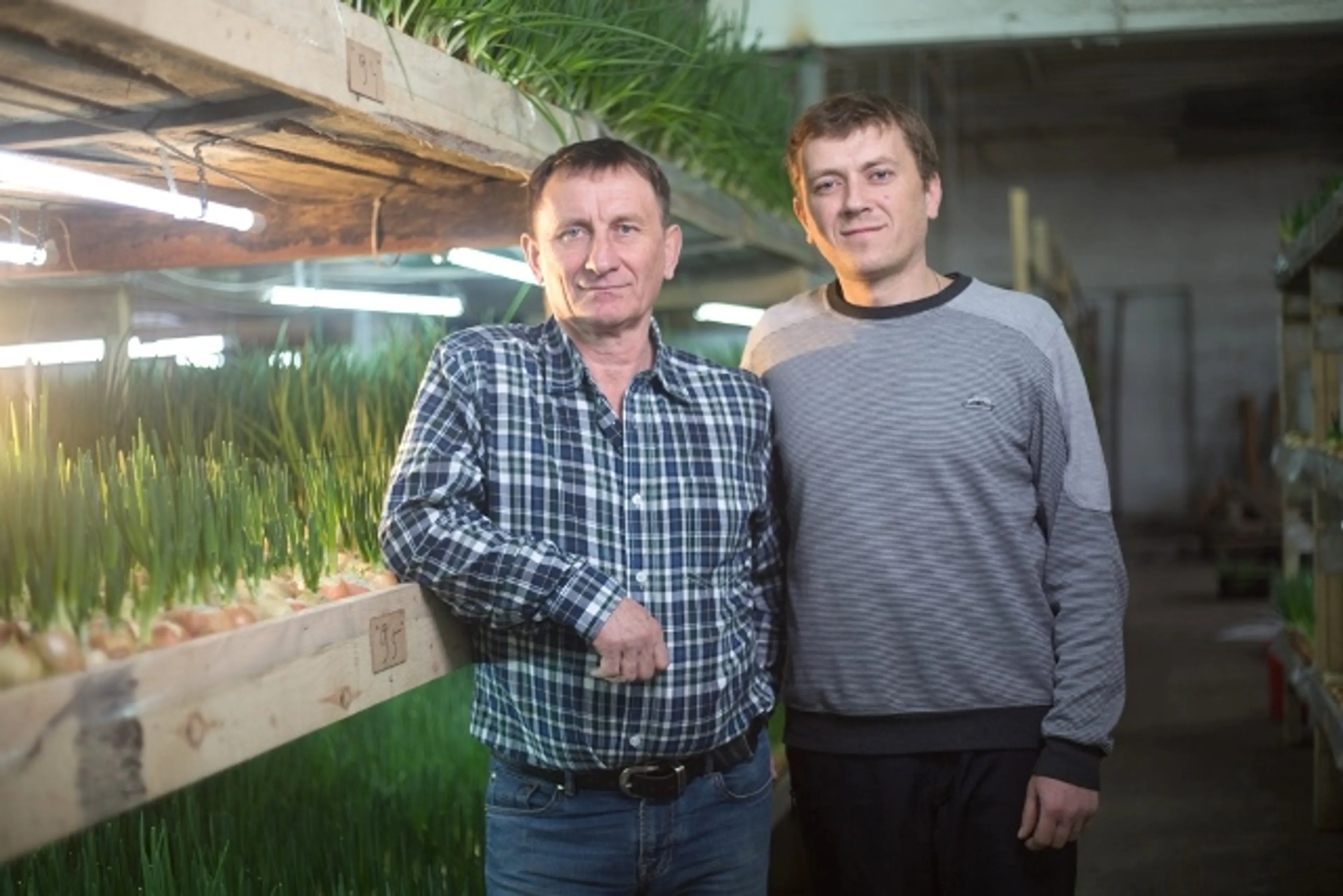 Капитал - Бизнес в тепличных условиях