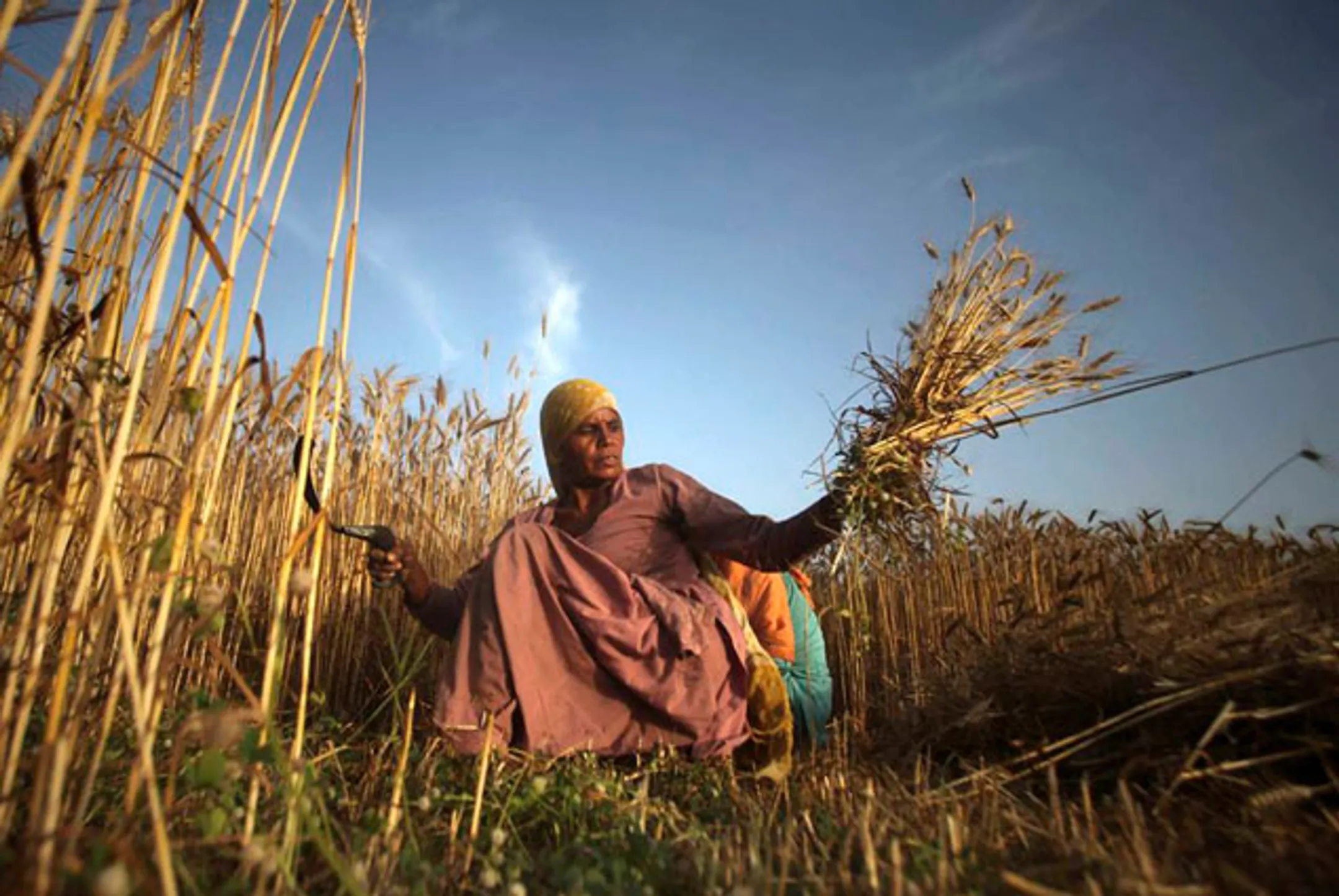 Изображение Kapital.kz