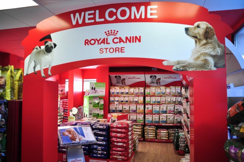 Royal Canin: начало эпохи здорового питания для животных 2974171 - Kapital.kz 