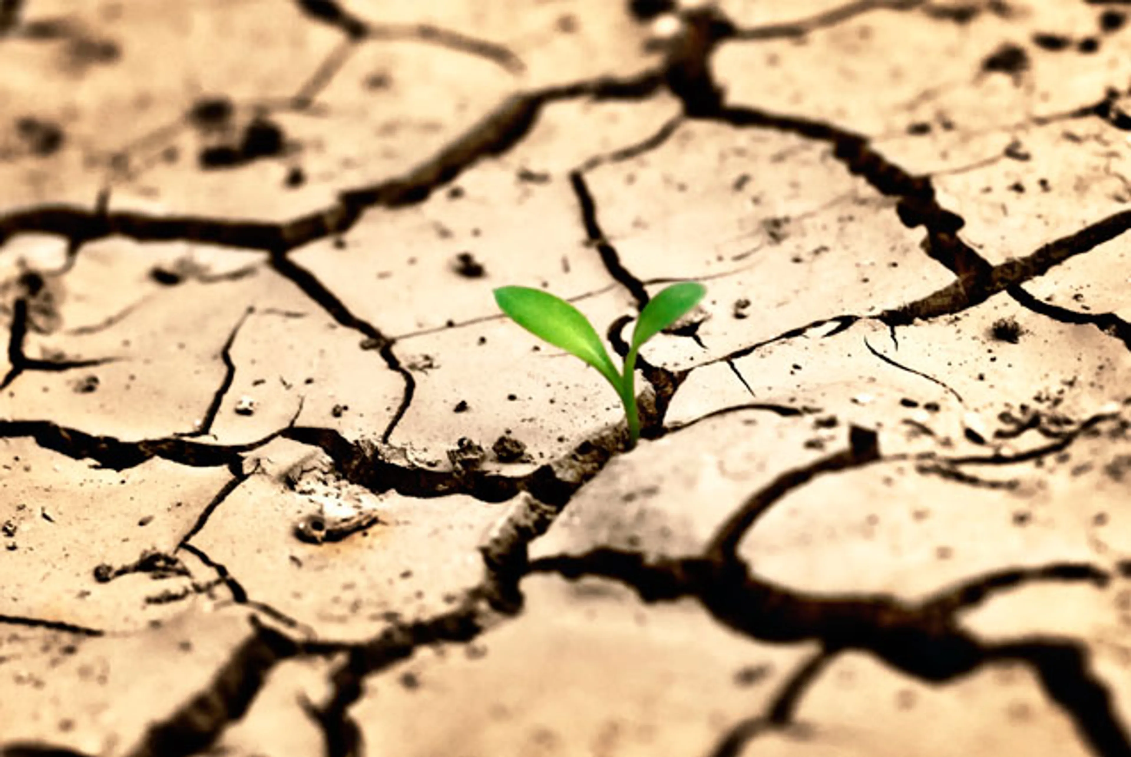 Капитал - Через 40 лет Казахстан столкнется с дефицитом воды