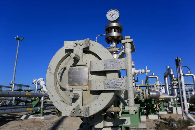 Фото: Руслан Пряников