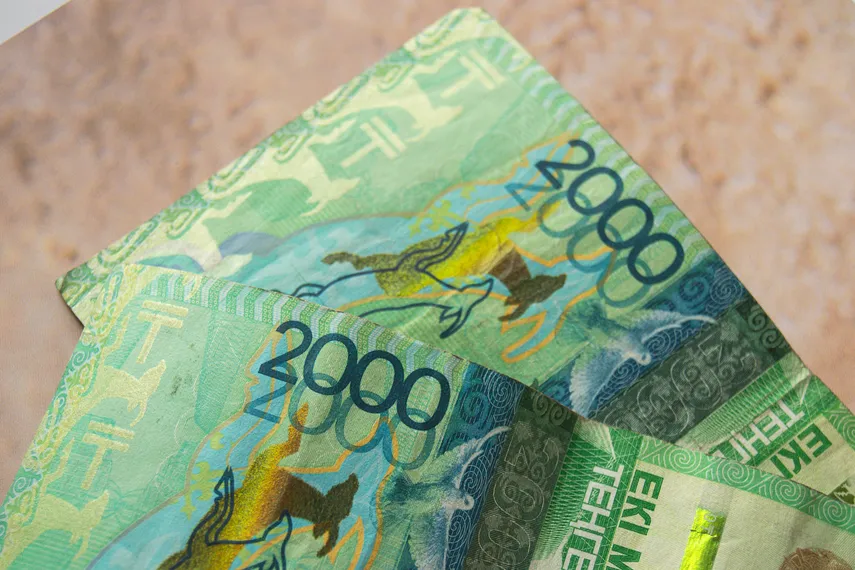 Фото: Валерия Змейкова