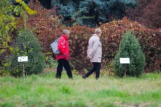 Капитал - Как трансформировался Ботанический сад Алматы