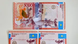 Фото: Валерия Змейкова