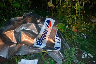 Эксперты опознали 173 жертвы крушения Боинг в Украине