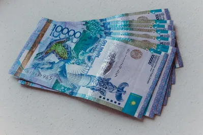 Фото: Валерия Змейкова 