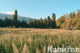 Капитал - Глава государства подписал закон о растительном мире