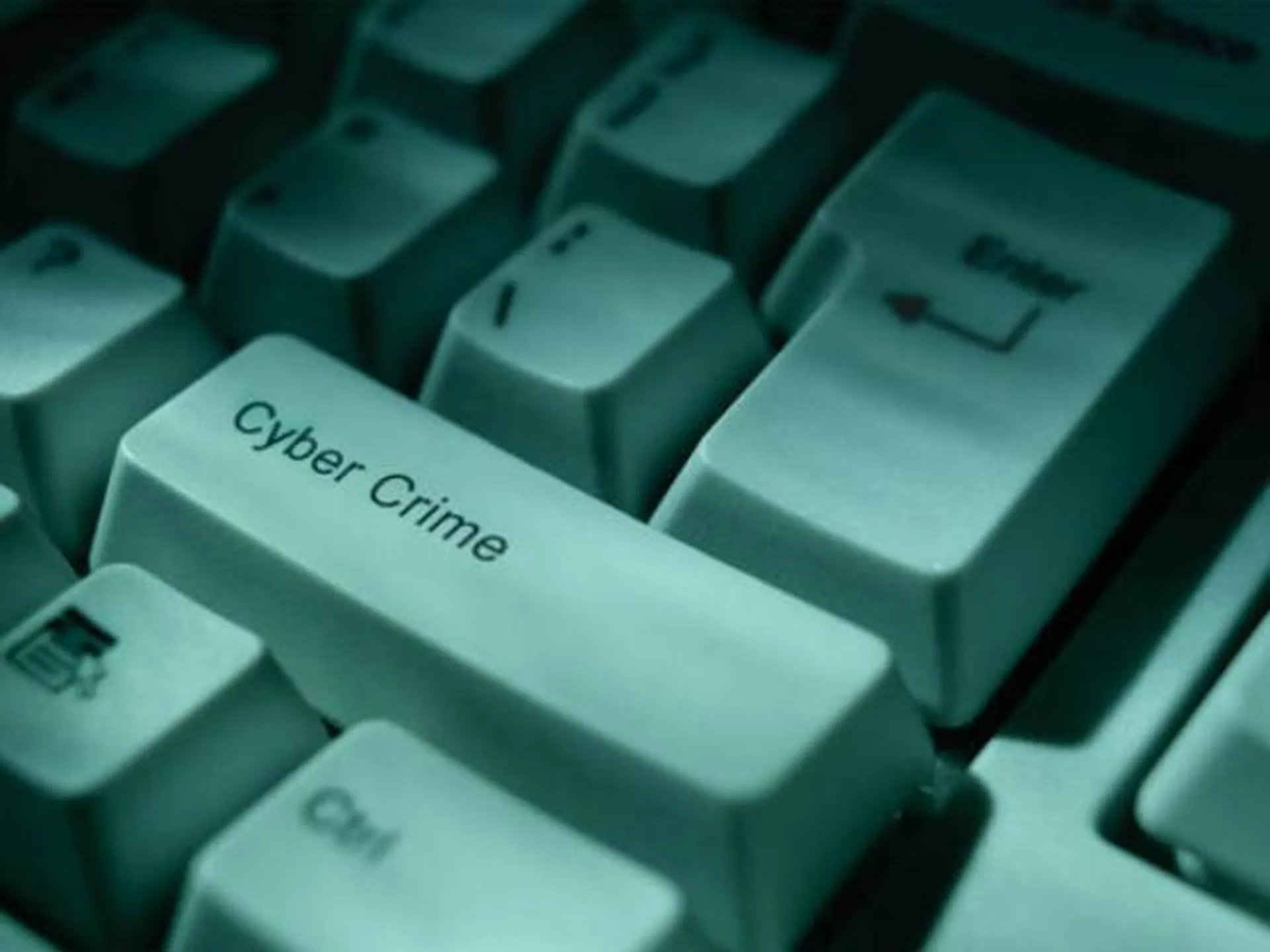 Капитал - Кибер-риски становятся глобальным трендом