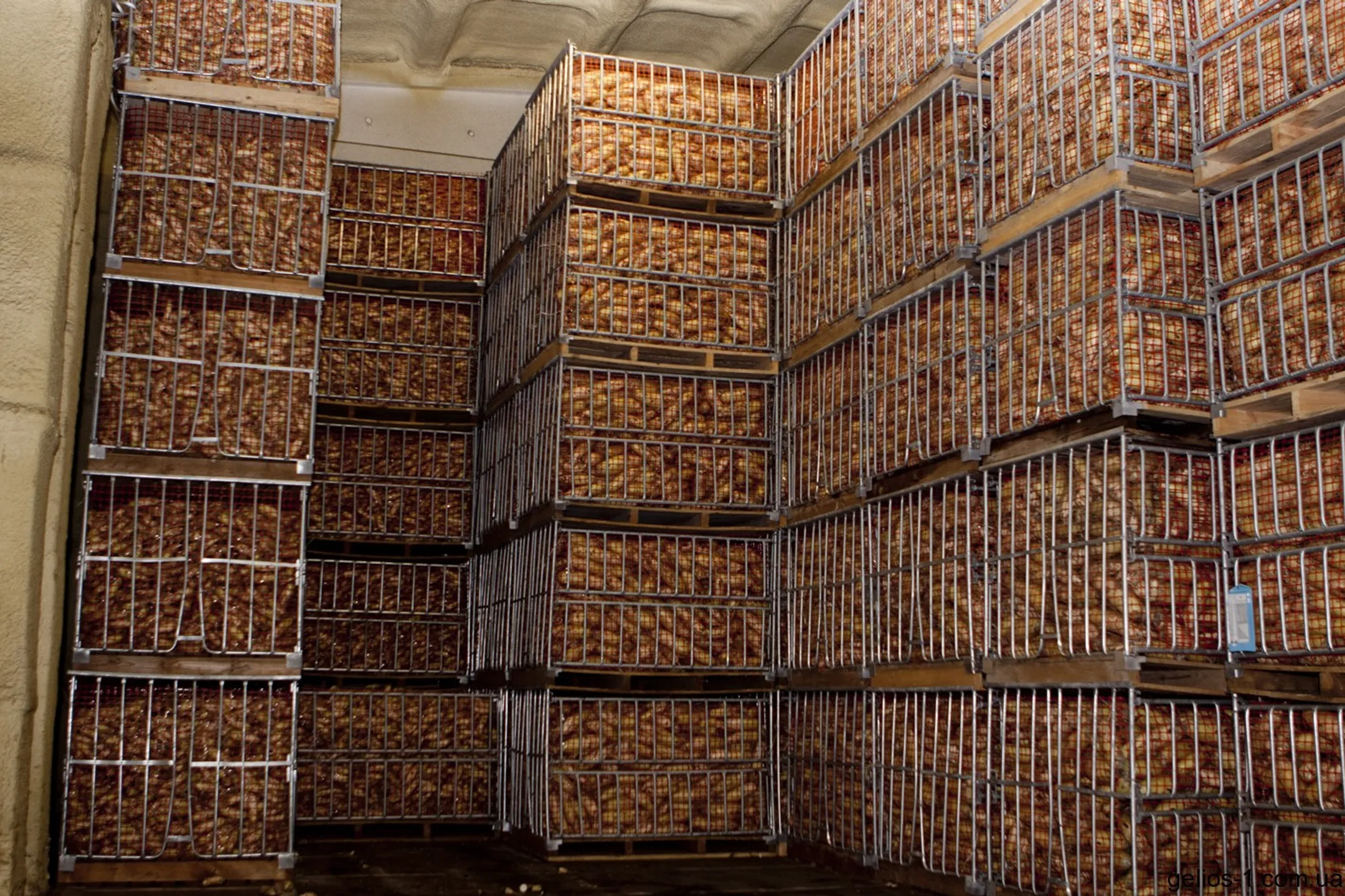 В Астане построено новое овощехранилище - Image Kapital.kz