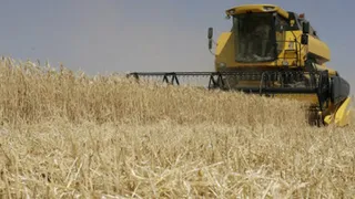 Капитал - Квоту на льготный импорт комбайнов распределят в мае