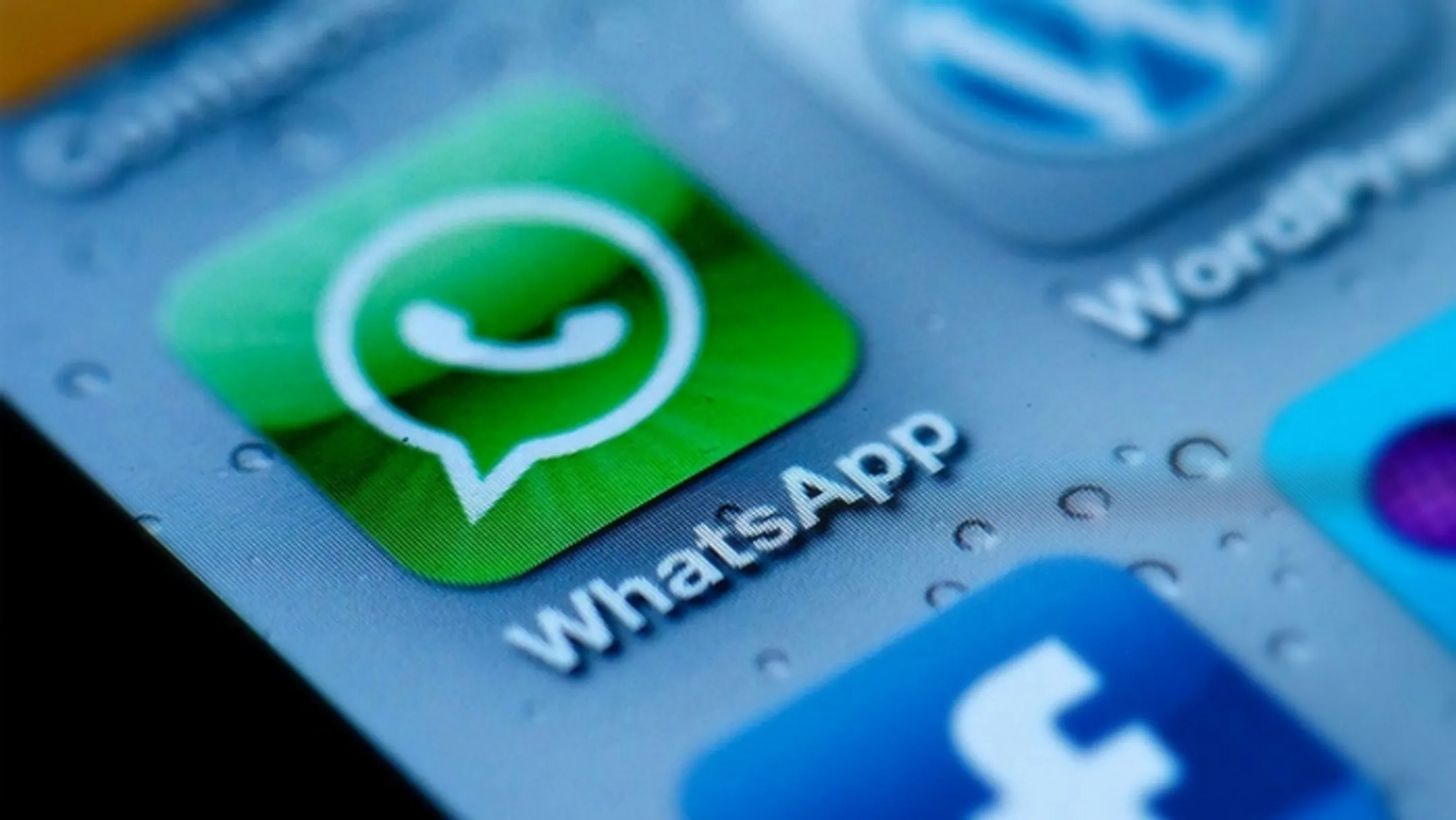Вышла бизнес-версия приложения WhatsApp - Image Kapital.kz