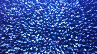 Фото: Руслан Пряников