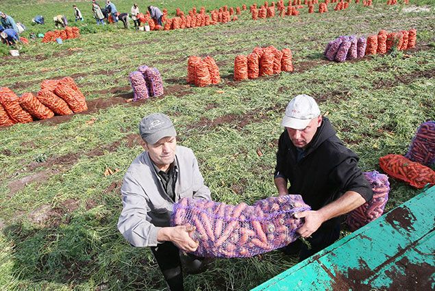 Жителям Дальнего Востока выделят по гектару земли - Kapital.kz