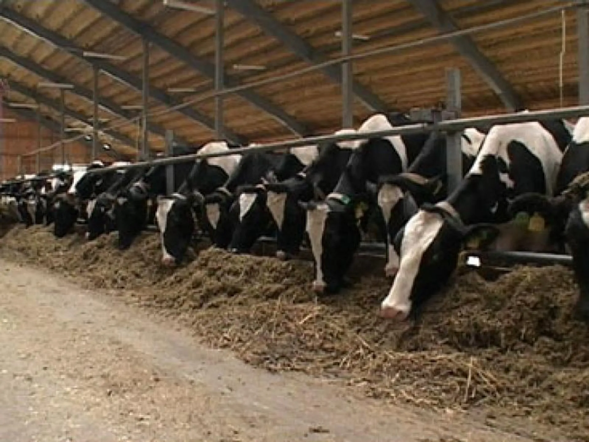 Капитал - Доля кредитования сельского хозяйства всего 3%