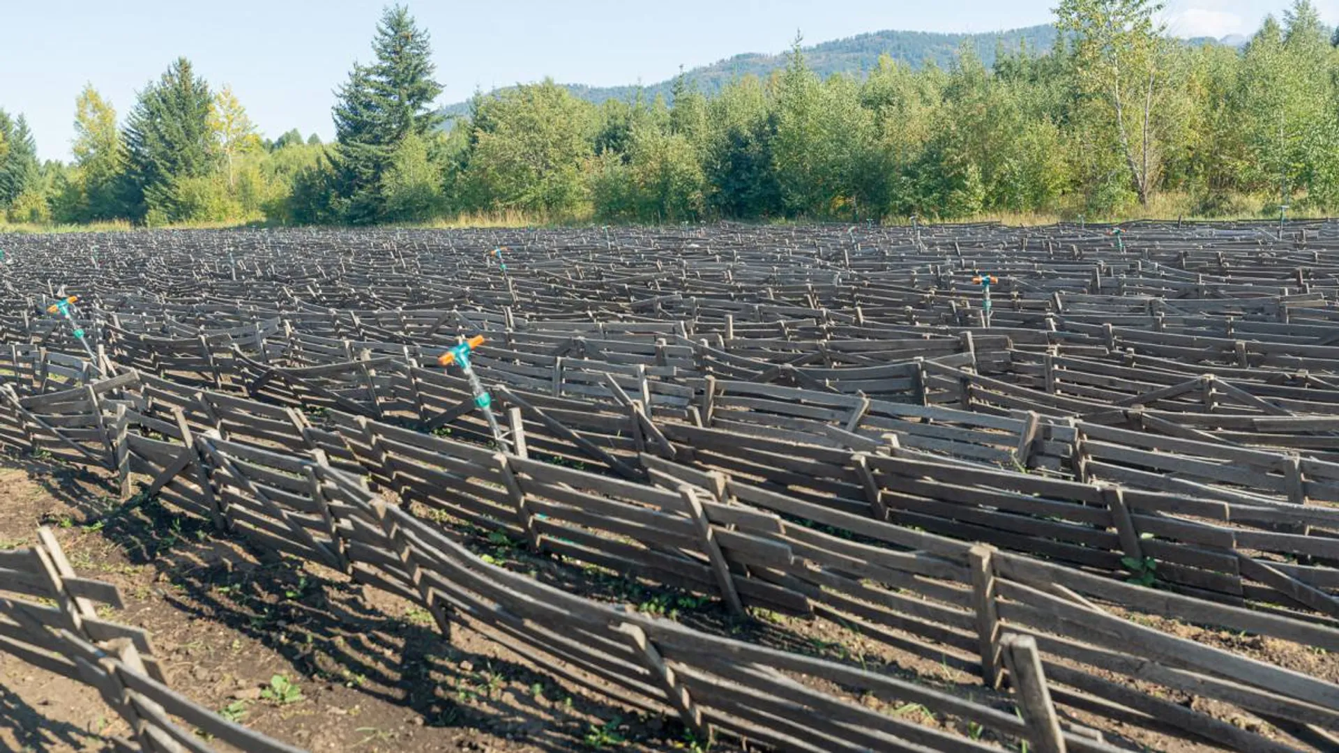 Фото: акимат области Абай