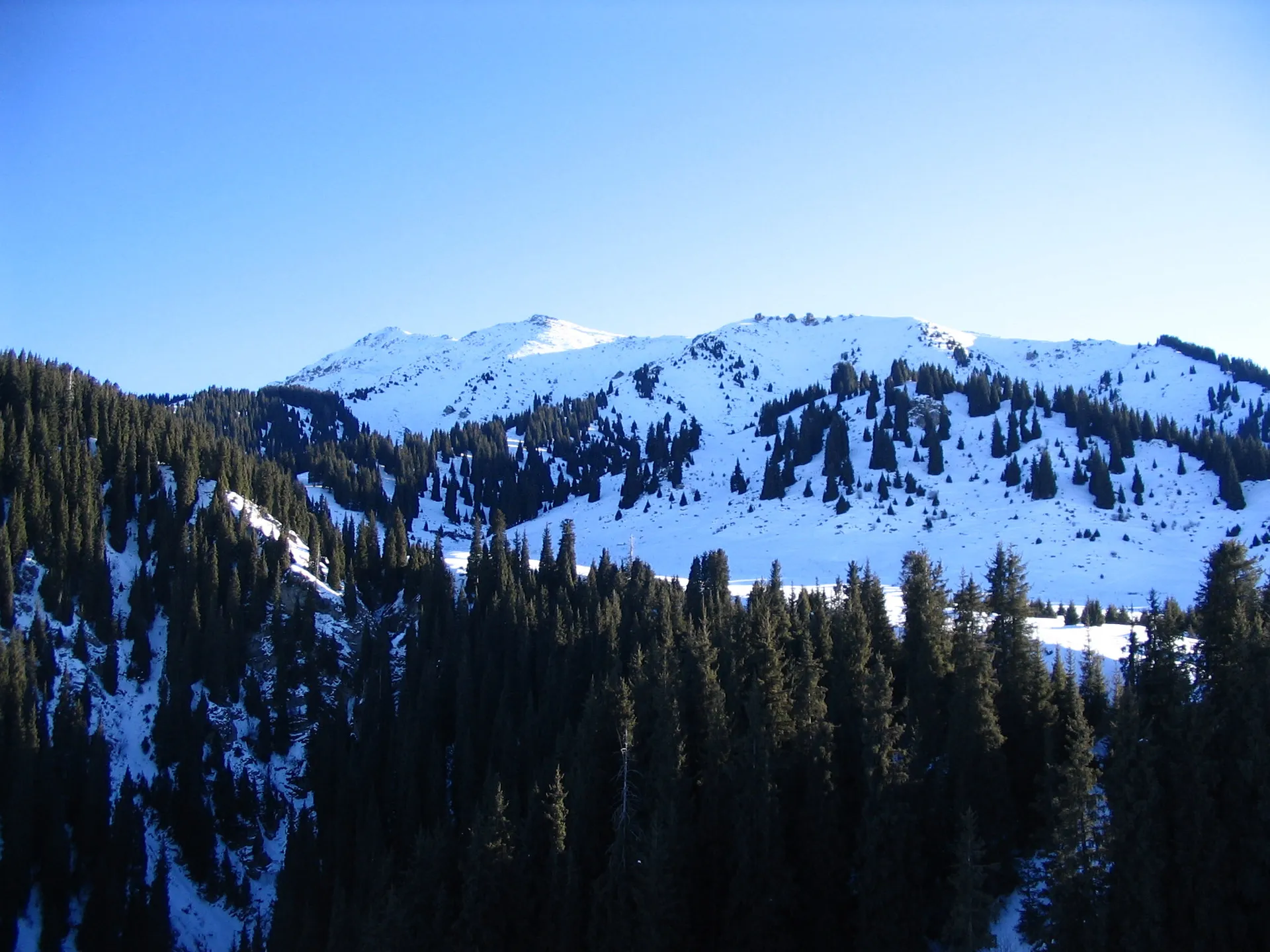 Капитал - В поддержку проекта на Кок Жайляу собрано 1,5 тыс. подписей