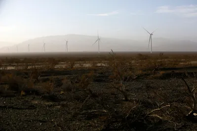 Фото: Руслан Пряников