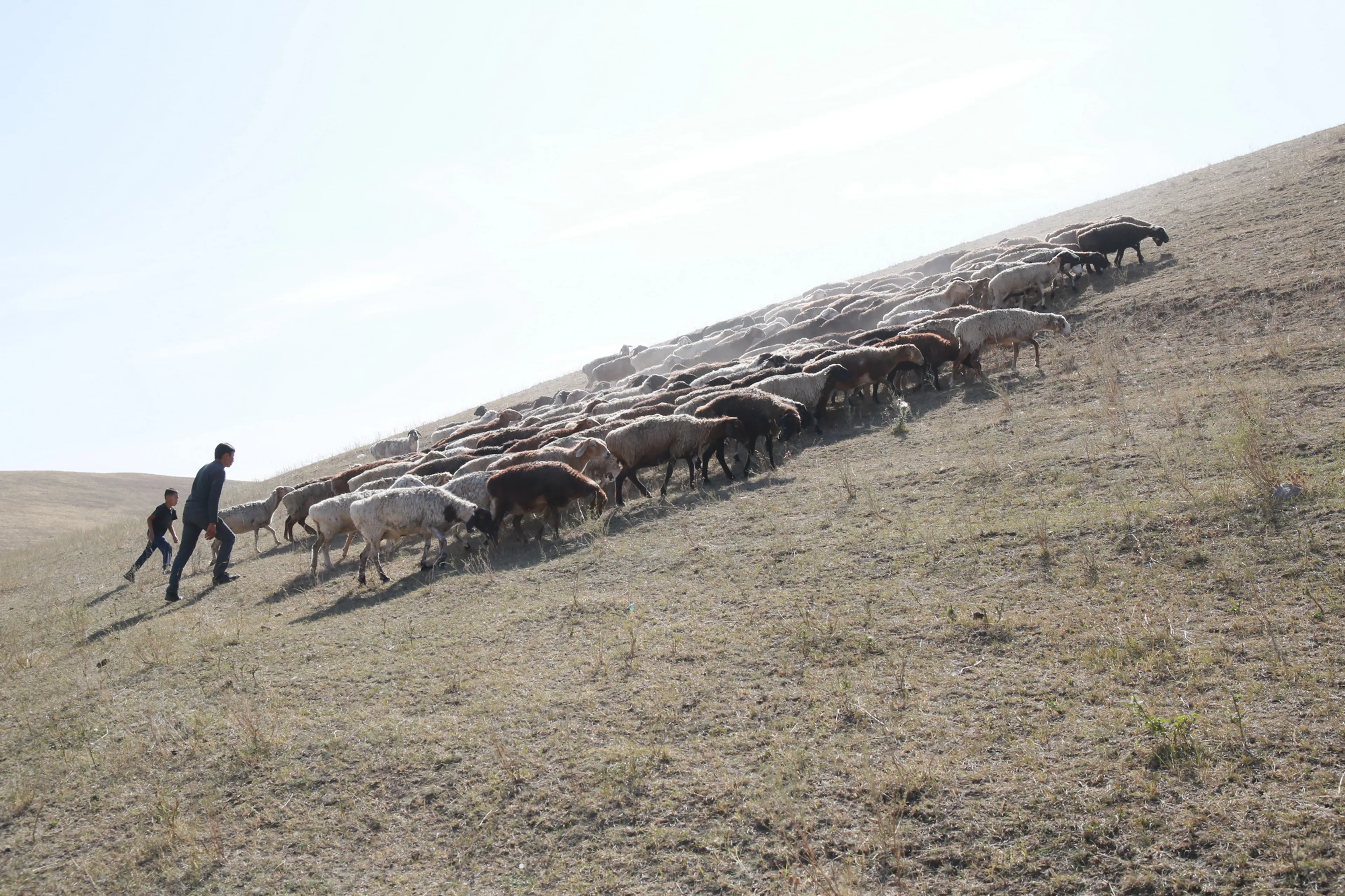 Фото: Руслан Пряников