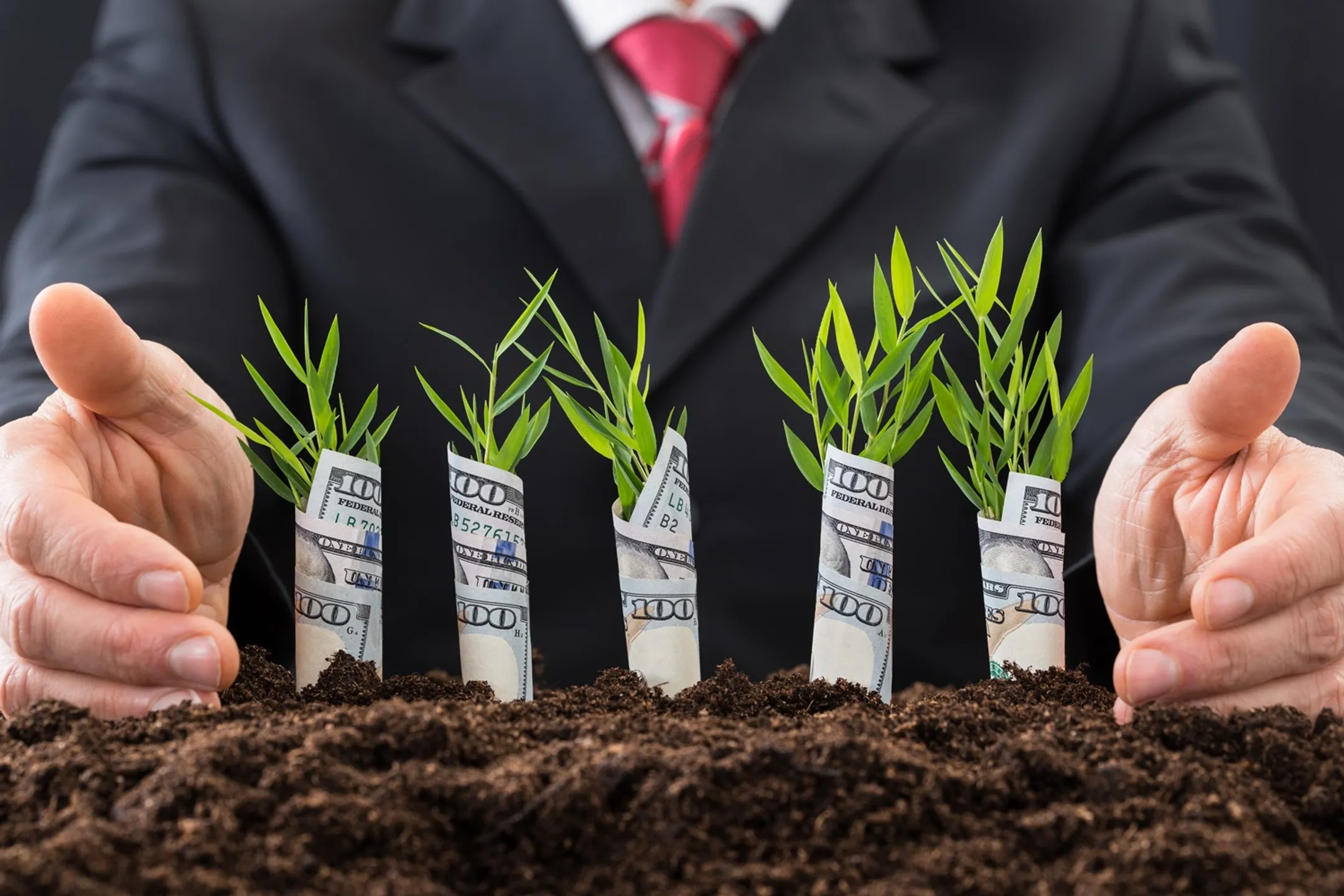 Сельский туризм может стать источником стабильного дохода - Image Kapital.kz