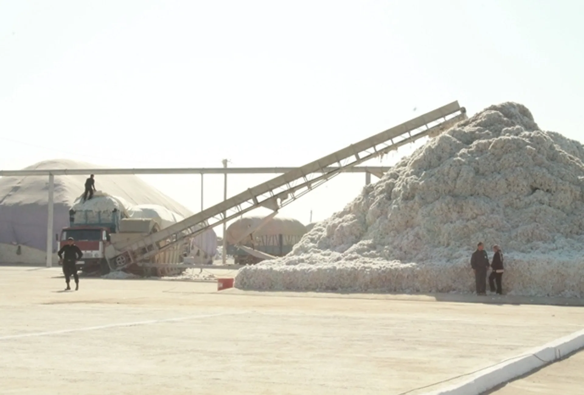 Капитал - Переработчикам хлопка развяжут руки