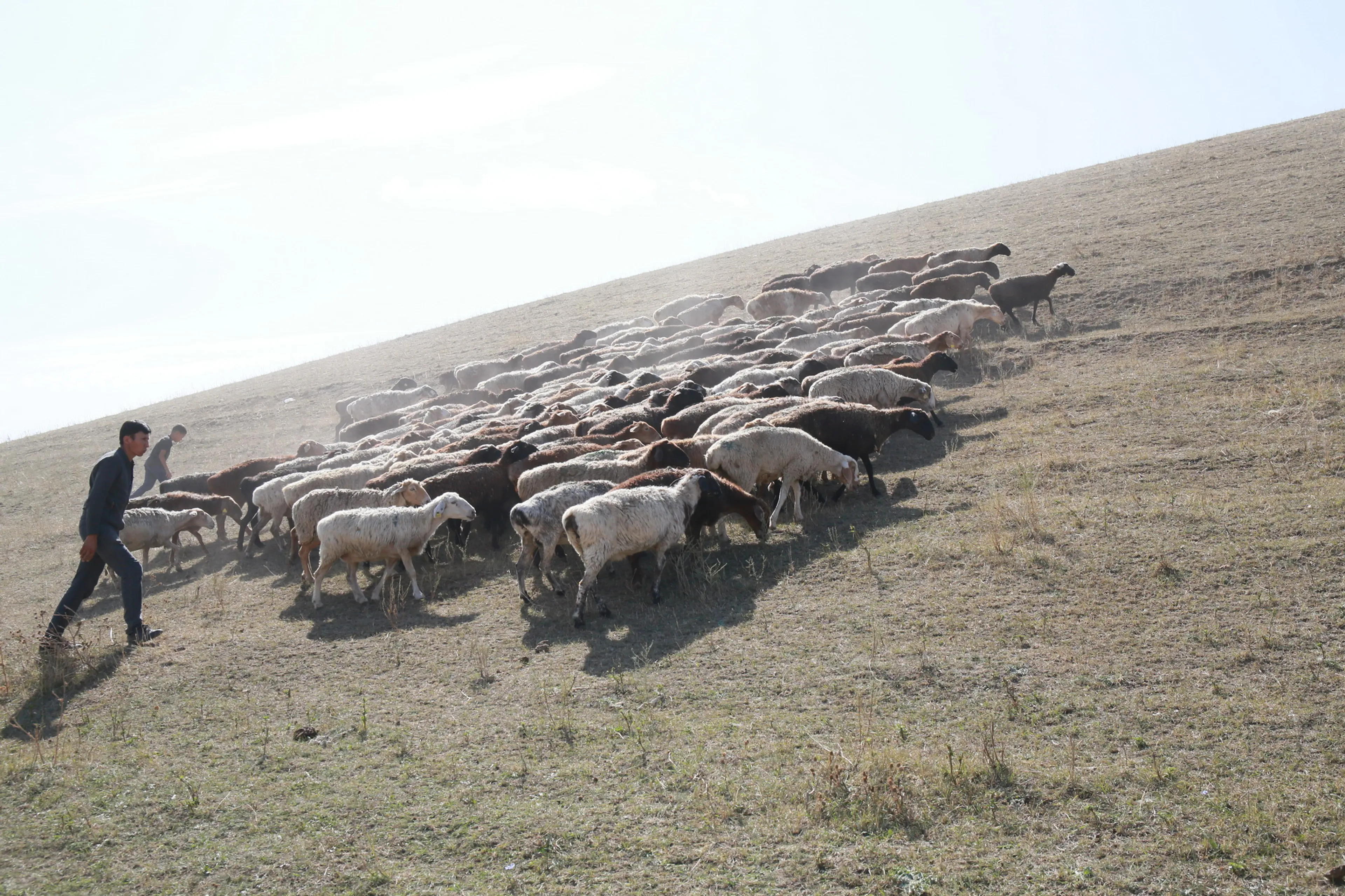 Фото: Руслан Пряников