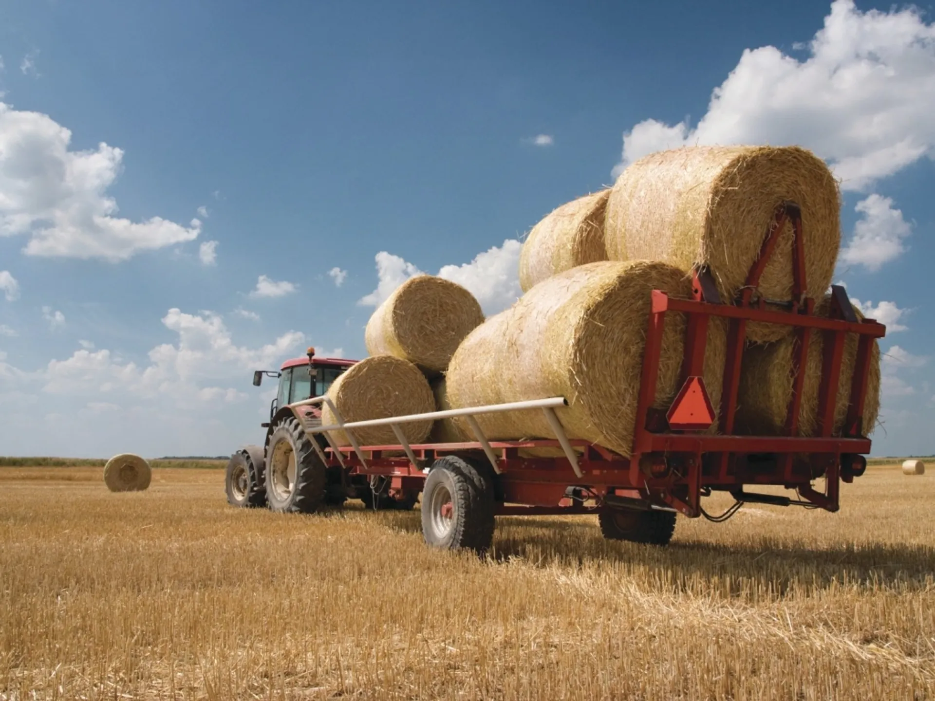 Капитал - Сельское хозяйство в Казахстане «убивают» три фактора