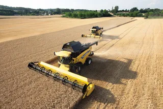 Капитал - Большие перспективы аграрного сектора