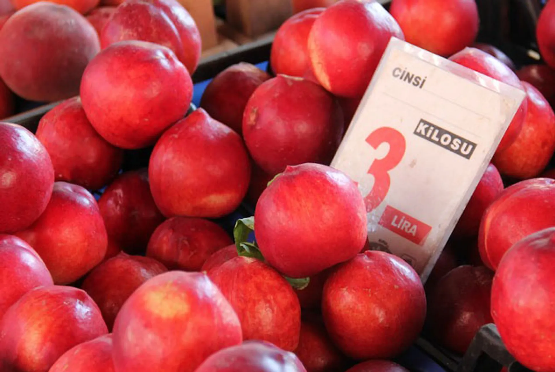 Капитал - Между Россией и Турцией назревает торговая война